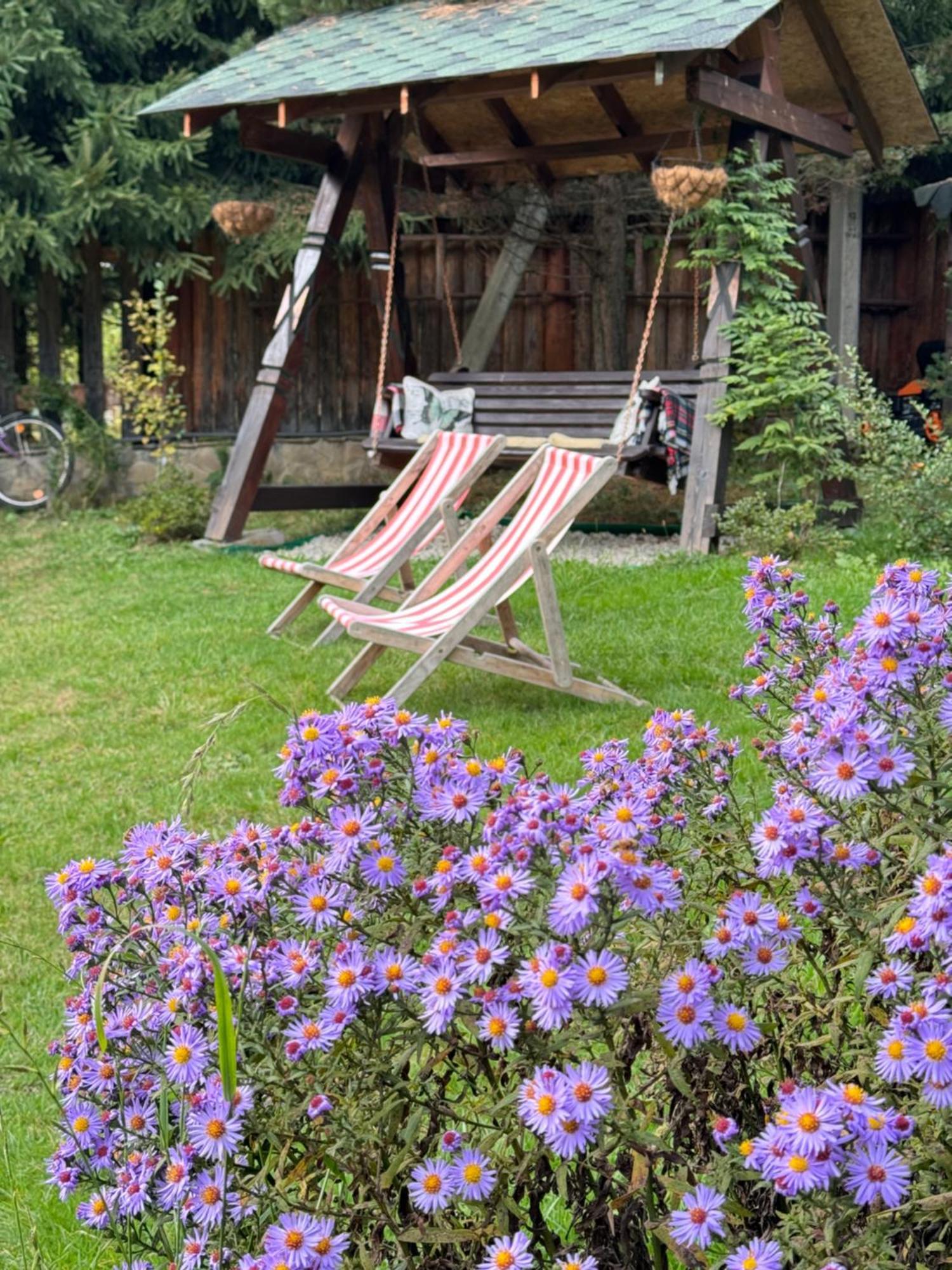 Cottage Lavanda Окремий Котедж З Каміном Буковел Екстериор снимка